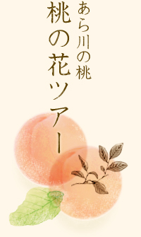 桃の花ツアー